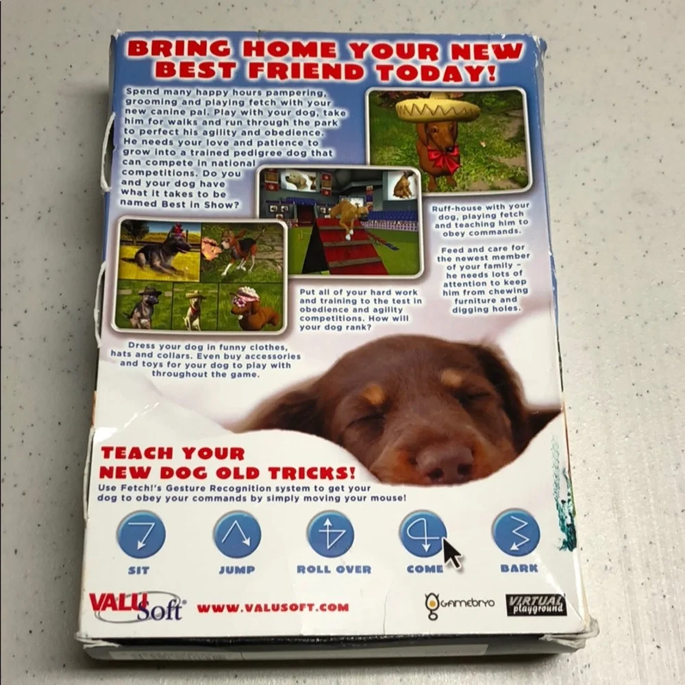 Fetch PC game